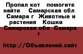 Пропал кот - помогите найти! - Самарская обл., Самара г. Животные и растения » Кошки   . Самарская обл.,Самара г.